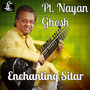 Enchanting Sitar