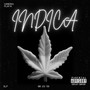 Indica (Explicit)