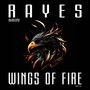 Wings Of Fire