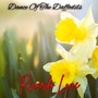 Dance  Of The Daffodils