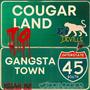 Cougar Land To Gangsta Town (feat. Deville, E.I. & Killah Ro) [Explicit]