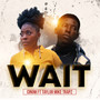 Wait (Explicit)