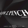 Flow Z Pinch Remixes