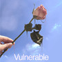 Vulnerable