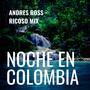 Noche en Colombia (Gogos Mix)