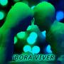 Bora Viver (feat. Renato Pantera)