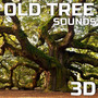 Old Tree Sounds 3D