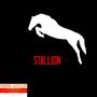 Stallion (Explicit)