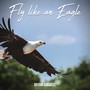 Fly Like an Eagle