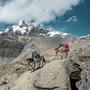 Crossing The Mountains