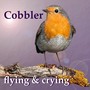Flying & Crying