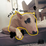 Mal de Amor