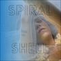 Spiral Shell