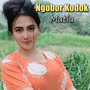 Ngobor Kodok