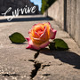 Survive (Explicit)