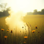 Parting in the Meadow