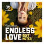 Endless Love (Piano Version)