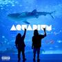 Aquarium (feat. Ayent) [Explicit]