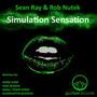 Simulation Sensation