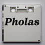 Pholas
