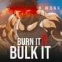 Burn it N Bulk it