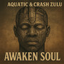Awaken Soul