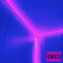 Neon Nights (feat. KingoSupr) [Explicit]