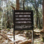 AOKIGAHARA