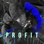 PROFIT (Explicit)