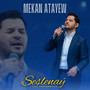 Seslenaý (Live)