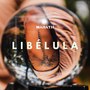 Libélula