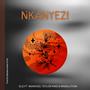 Nkanyezi (feat. Nkanyezi, Teylor King & Masolution) [Explicit]