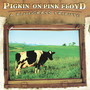 Pickin' On Pink Floyd
