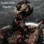 Coplilla 2022