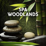 SPA Woodlands: Forest Nature Relaxation for Spa, Massage, Wellness