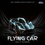 Flying Car