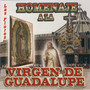 Homenaje a la Virgen de Guadalupe