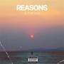 Reasons (Explicit)