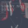 Sorry Not Sorry (instrumental)