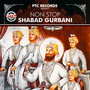 Non Stop Shabad Gurbani