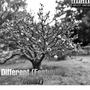 Different (feat. Cdubz) [Explicit]