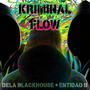 Kriminal Flow (feat. Dela BlackHouse) [Explicit]