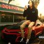 Dolphin (Explicit)