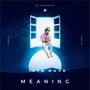 Meaning (Explicit)