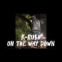 ON THE WAY DOWN (feat. COLME) [Explicit]