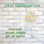 Steve Sandberg Trio Live at Soapbox Gallery
