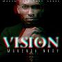 Vision (Explicit)