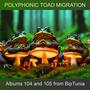 Polyphonic Toad Migration