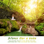 Silence Has a Voice – Relaxing Music for Meditation Inspired by the Sounds of Nature