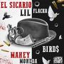 EL SICARIO (feat. BIRD$ & MANEY MONEDA) [Explicit]